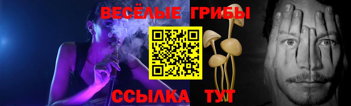 Галлюциногенные грибы MAGIC MUSHROOMS Железногорск